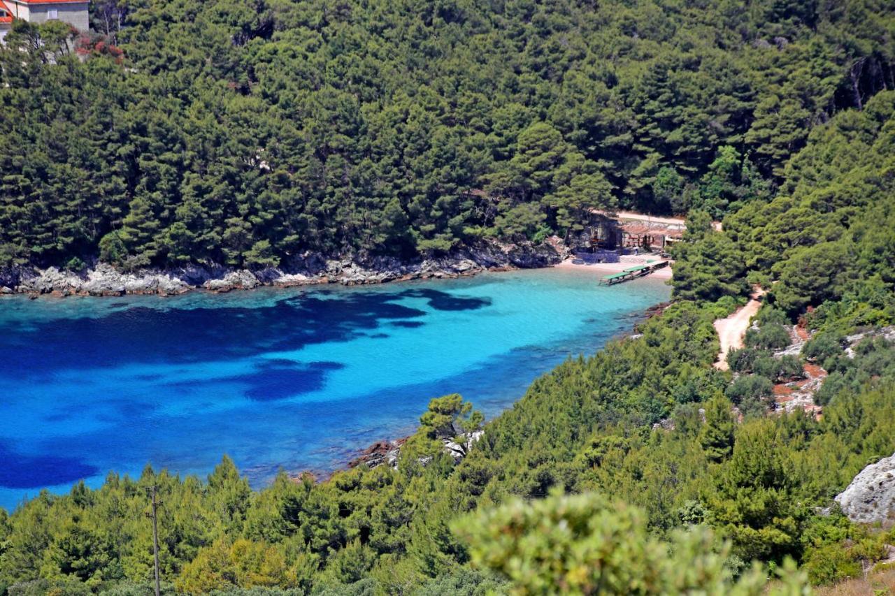 Apartments By The Sea Luka Dubrava, Peljesac - 14040 Putnikovic Экстерьер фото